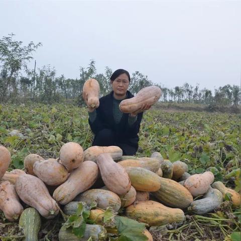 脚上怎么分辨是湿疹还是脚气（脚上怎么分辨是湿疹还是脚气呢）