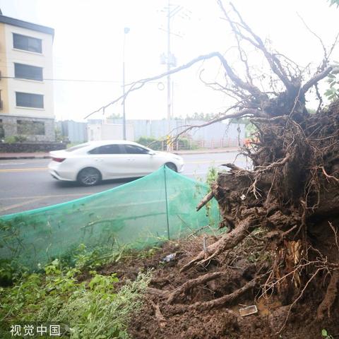 2022年还剩几个台风(预计今年还有多少个台风) 2022年还剩几个台风(预计今年还有多少个台风)