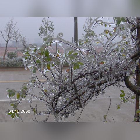 抚州天气（抚州天气24小时）