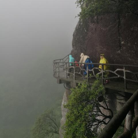 武功山天气预报（武功山天气预报15天查询风景区）