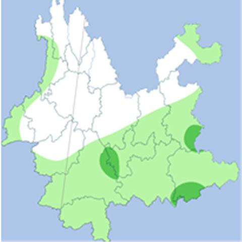 西双版纳天气（西双版纳天气6月份天气预报）
