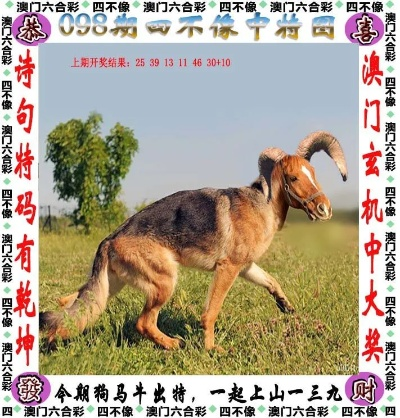 921212.C.C四不像最新版本V16.6.46.49ios版本-推荐