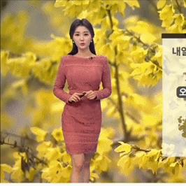 北京发布一周天气预报(北京天气预报一周内) 北京发布一周天气预报(北京天气预报一周内)