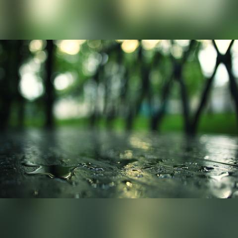 贵州未来15天天气预报（贵州未来15天天气预报穿衣指数）