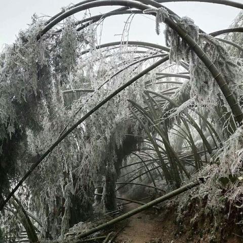 湖南大雪暴雪范围已定(湖南哪里有大雪) 湖南大雪暴雪范围已定(湖南哪里有大雪)