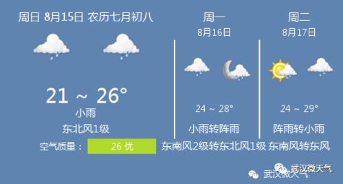 武汉未来一周天气预报（武汉未来一周天气预报英语）