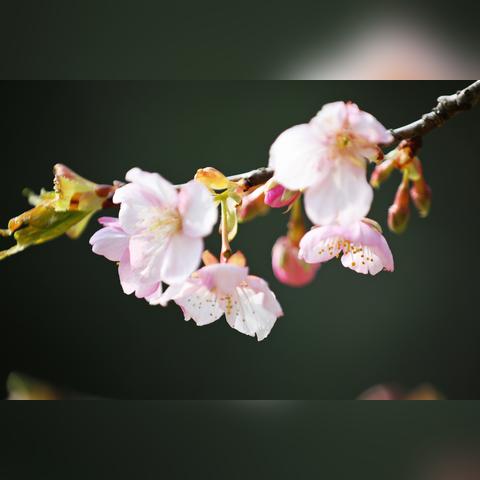 河津天气预报（太原天气预报）