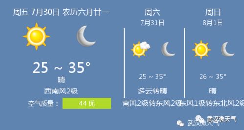 今天武汉天气（武汉市天气预报7天15天30天）